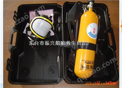 供应RHZK呼吸器，EC呼吸器，空气呼吸器，正压式空气呼吸器